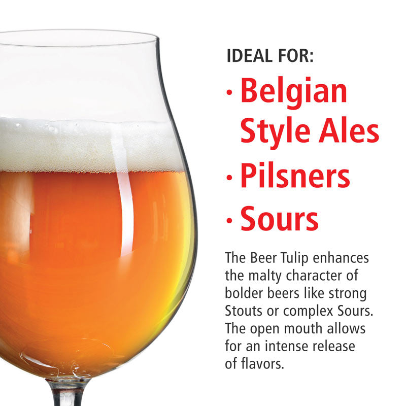 Spiegelau Beer Classics Tulip Glasses (Set of 6) – Perfect for Belgian Ales and Sours Beer Glasses Wander Wine Carriers.